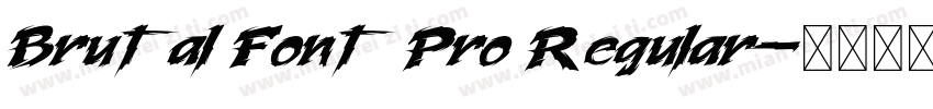 Brutal Font Pro Regular字体转换